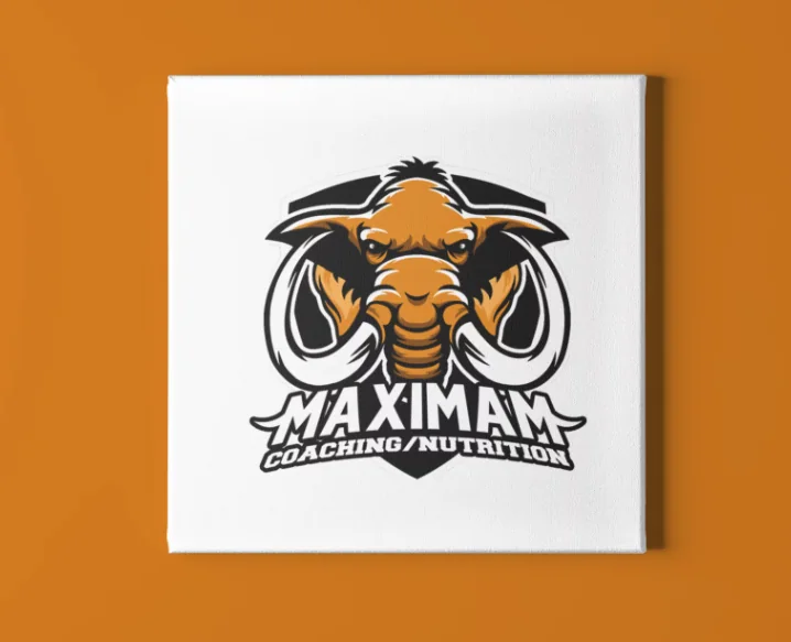 MaximaM — screen 5